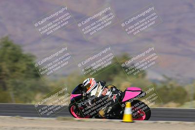 media/Nov-12-2023-SoCal Trackdays (Sun) [[5d1fba4e7d]]/Turn 3 Inside Speed Pans (135pm)/